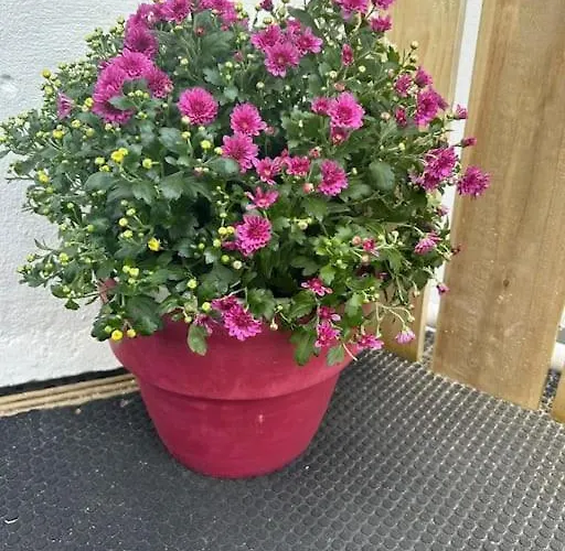 No12 Bridge Street アパート